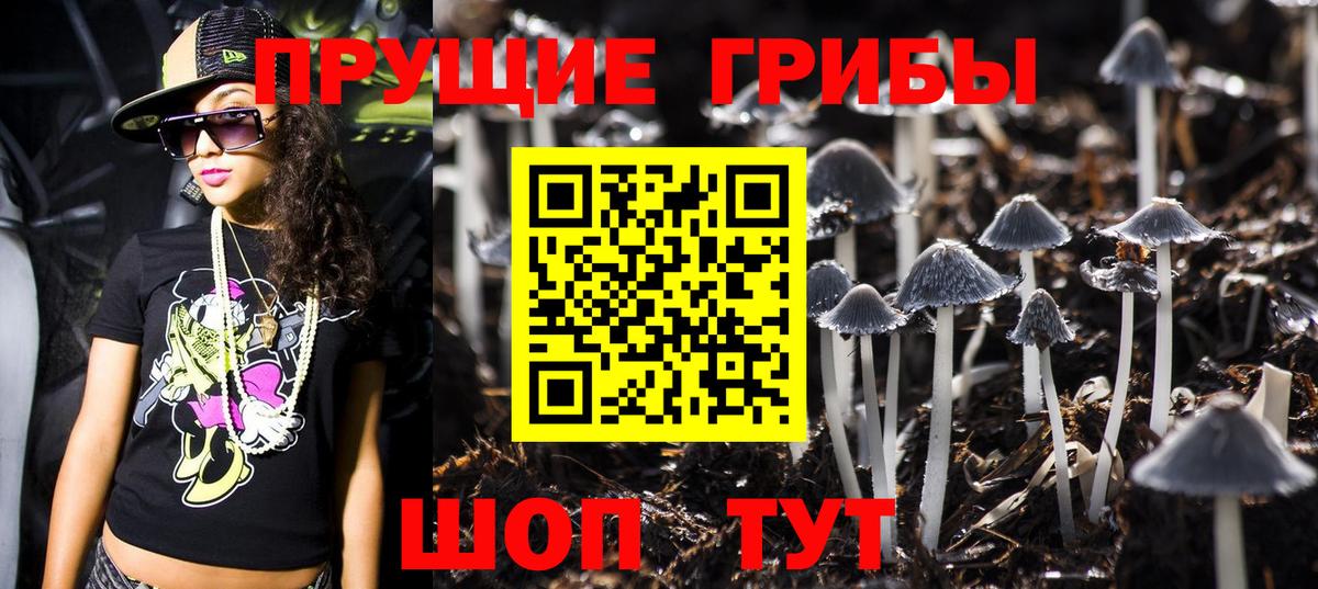Псилоцибиновые грибы Magic Shrooms Гурьевск