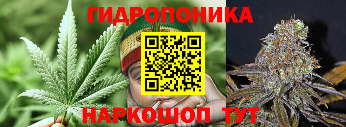 Каннабис AK-47  Марихуана семена  Бошки Шишки THC 21%  Вход с VPN  Гурьевск 