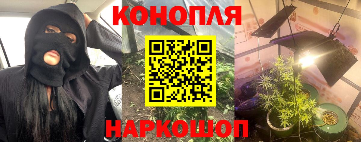 Марихуана SATIVA & INDICA Гурьевск